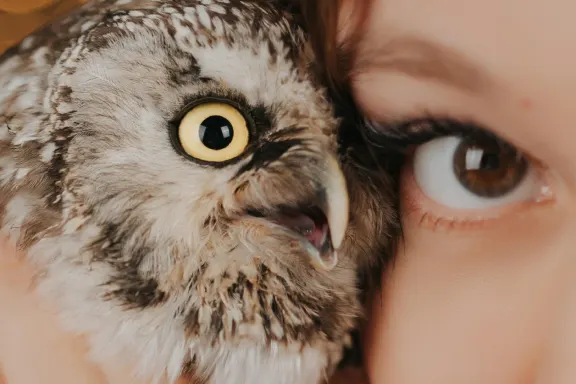 Kasino AllStar Slots Sokongan